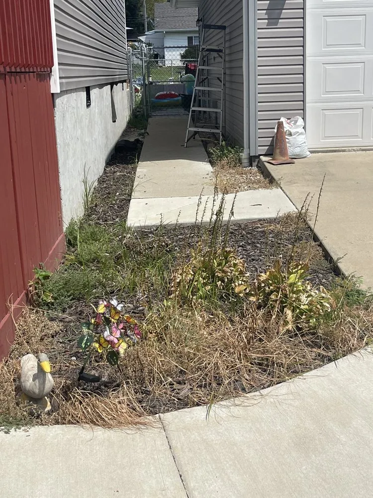 Expert landscape design in Zeigler, IL by Infinite Precision