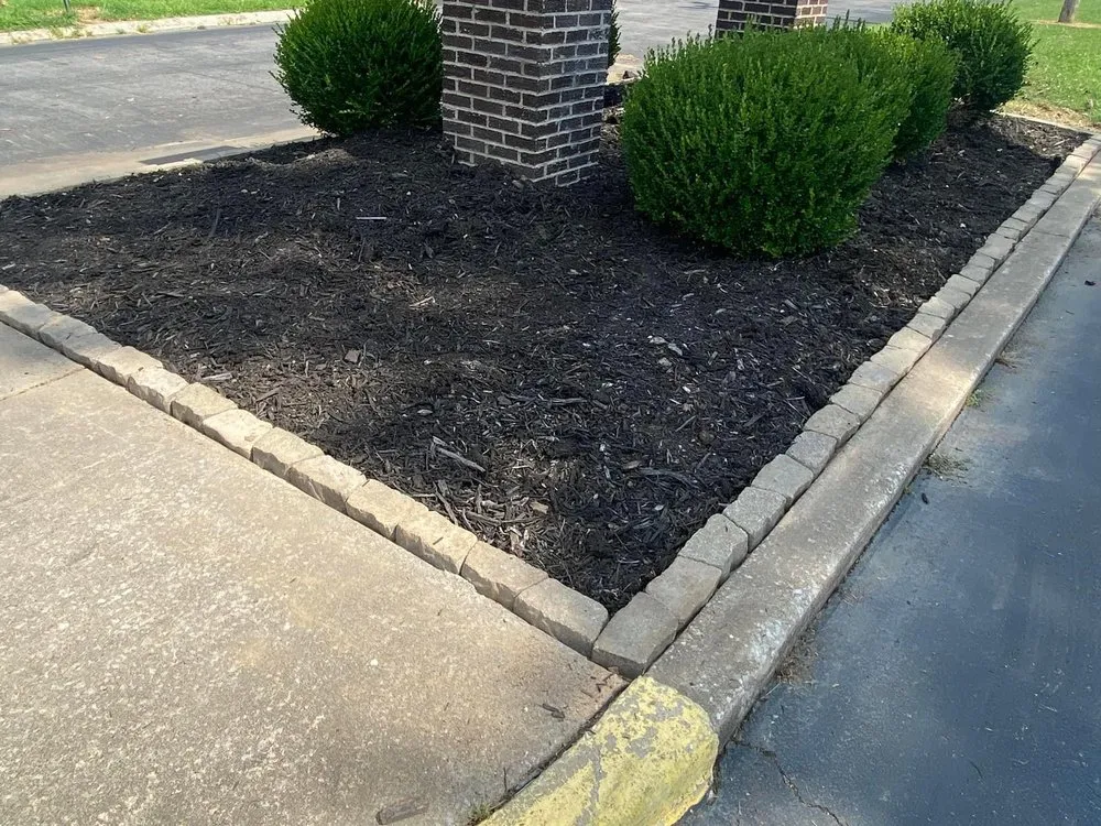 Professional yard cleanup service experts serving Zeigler, IL - Infinite Precision