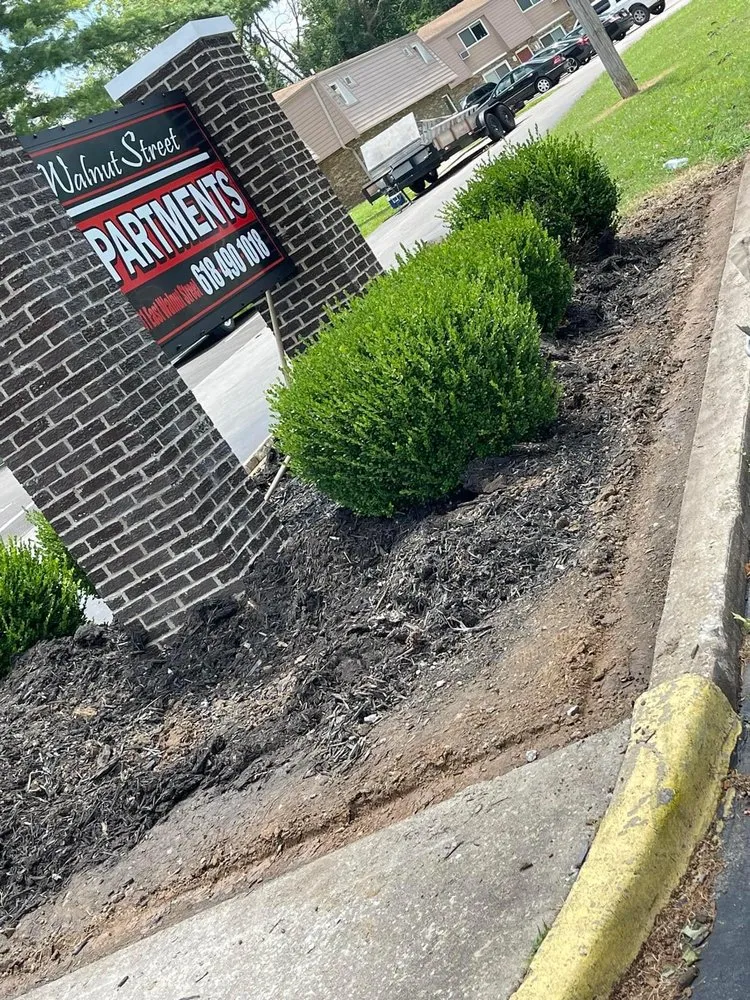 Affordable landscaping services near you across Zeigler, IL - Infinite Precision