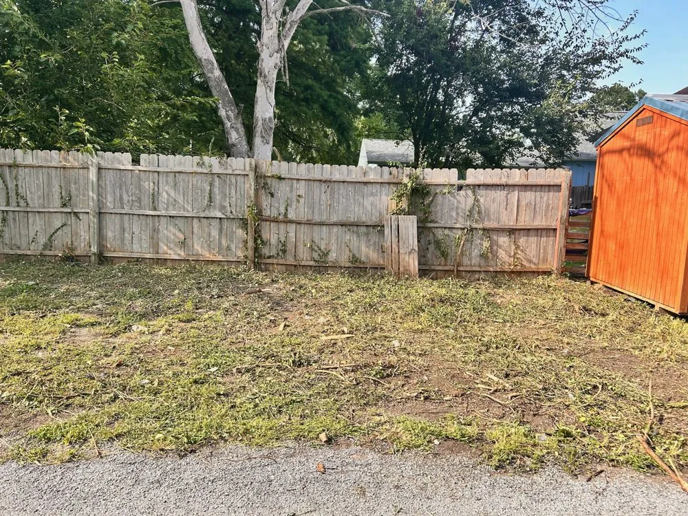 Local yard cleanup service experts serving Zeigler, IL - Infinite Precision