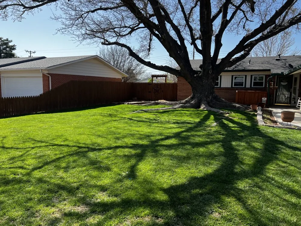 Trusted landscape installation for beautiful yards in Amarillo, TX by Infinite Tree and Landscaping