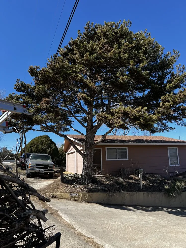 Expert lawn mowing service with custom design in Amarillo, TX by Infinite Tree and Landscaping