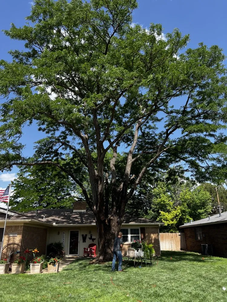 Custom garden landscaping experts serving Amarillo, TX - Infinite Tree and Landscaping