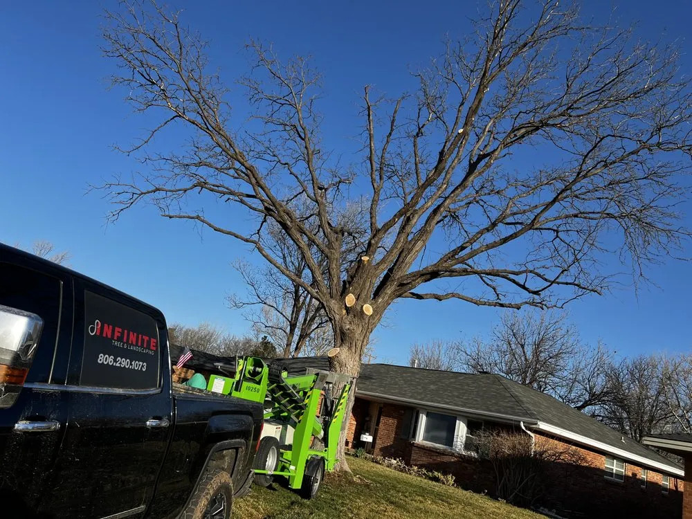 Top-rated landscape installation for outdoor upgrades in Amarillo, TX by Infinite Tree and Landscaping