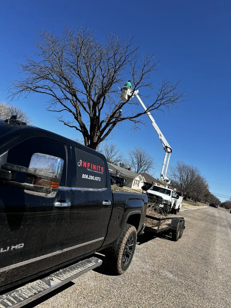 Trusted yard cleanup service experts serving Amarillo, TX - Infinite Tree and Landscaping