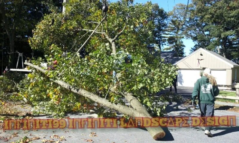 Professional lawn mowing service for outdoor upgrades across Marlborough, MA - Infiniti Creative Landscape Design