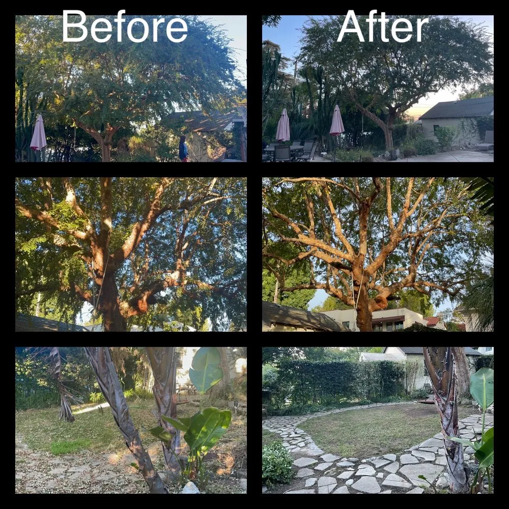 Local residential landscaping experts serving Altadena, CA - Infinitree Services