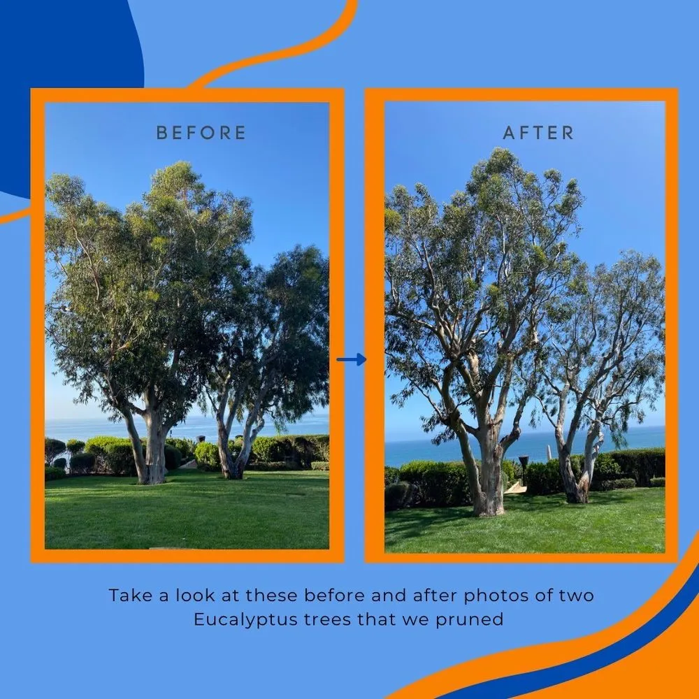 Local garden landscaping experts serving Altadena, CA - Infinitree Services