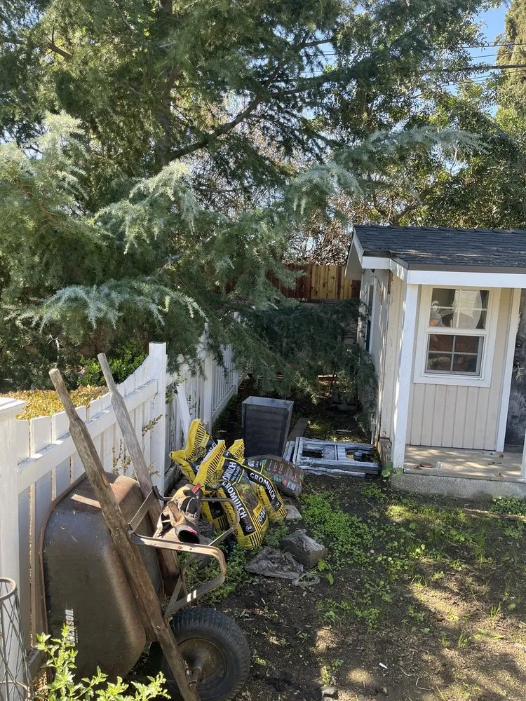 Local landscape design for residential properties in Altadena, CA by Infinitree Services