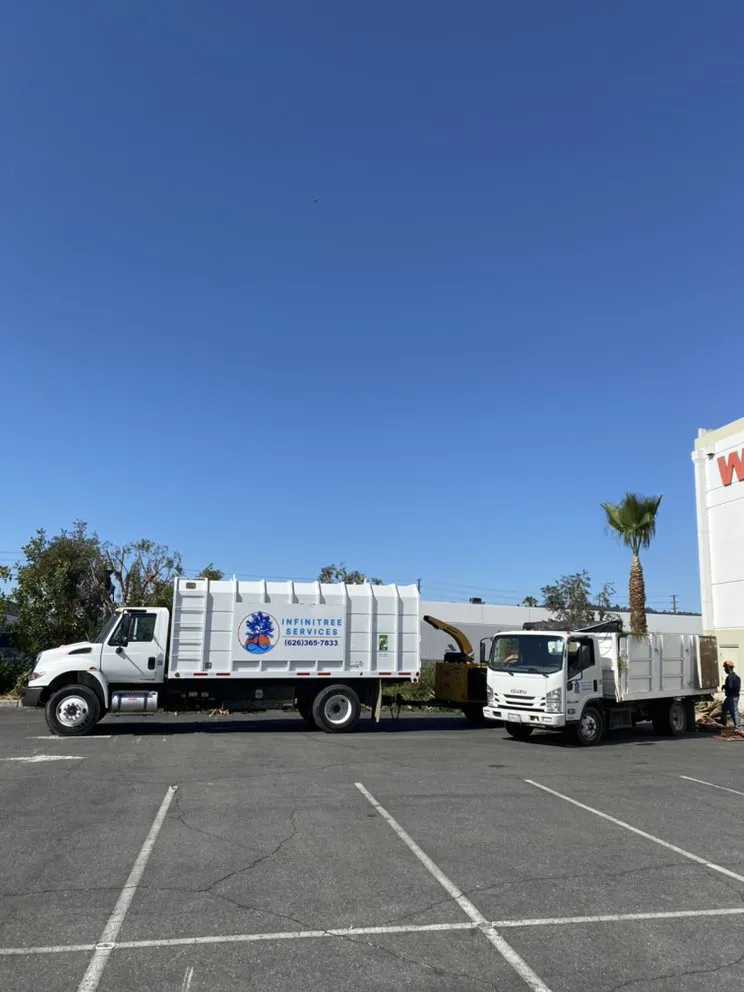 Reliable lawn care service for residential properties across Altadena, CA - Infinitree Services