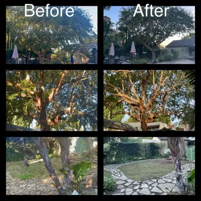 Infinitree Services Logo