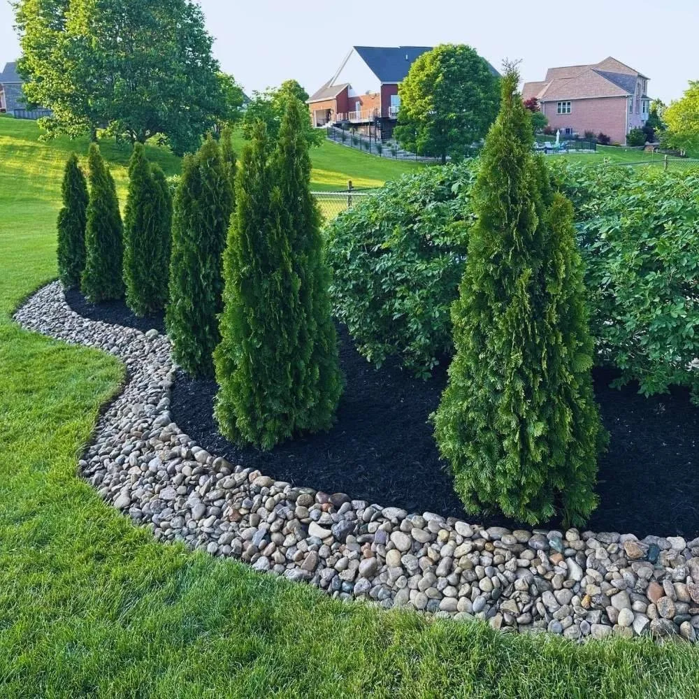 Reliable lawn mowing service in Alexandria, KY - Infinity Custom Landscapes
