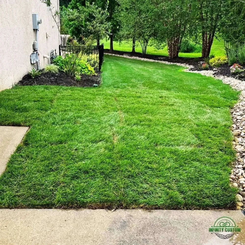 Professional landscape installation for year-round maintenance across Alexandria, KY - Infinity Custom Landscapes