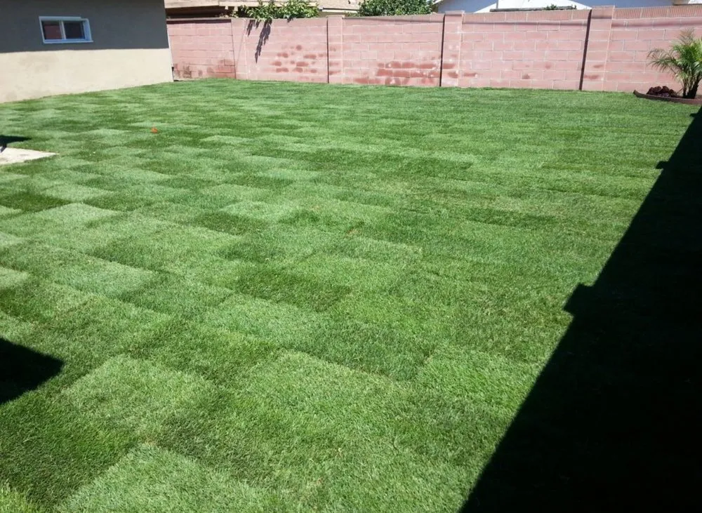 Custom lawn care service for beautiful yards in Tracy, CA by Infinity Landscape