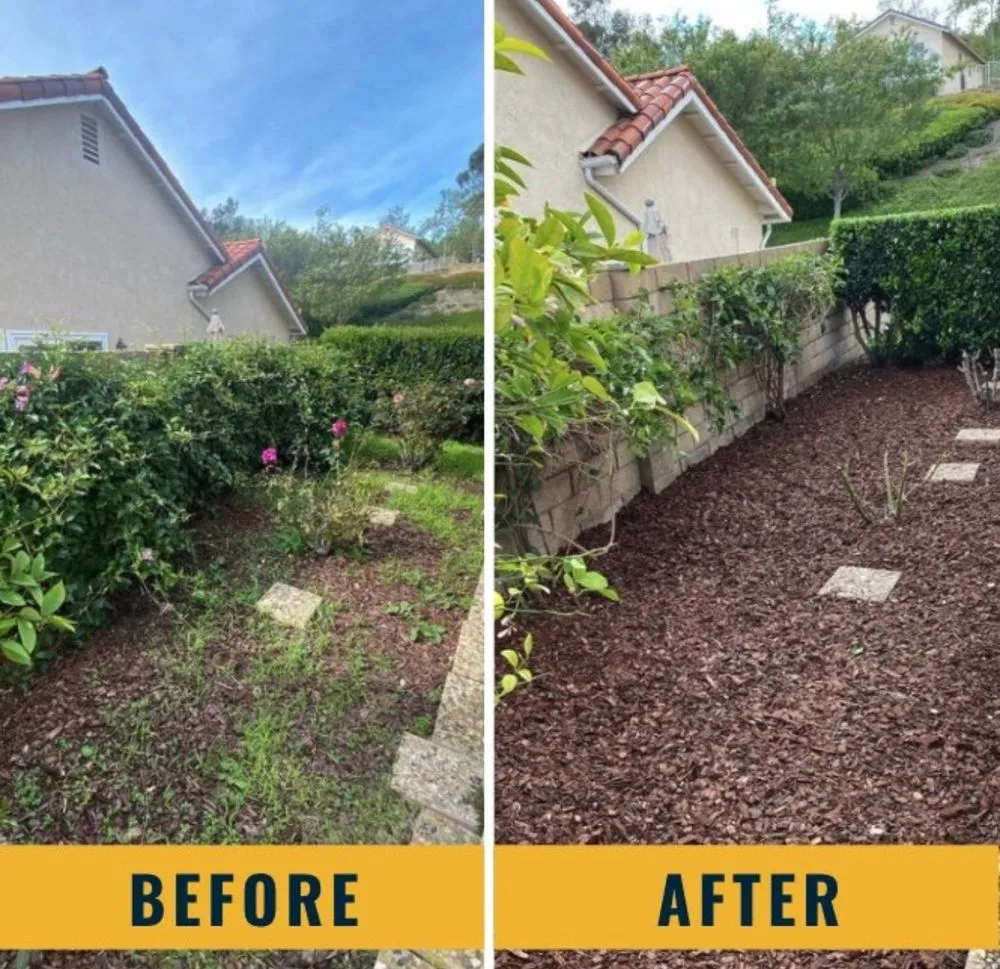 Top-rated lawn care service experts serving Tracy, CA - Infinity Landscape