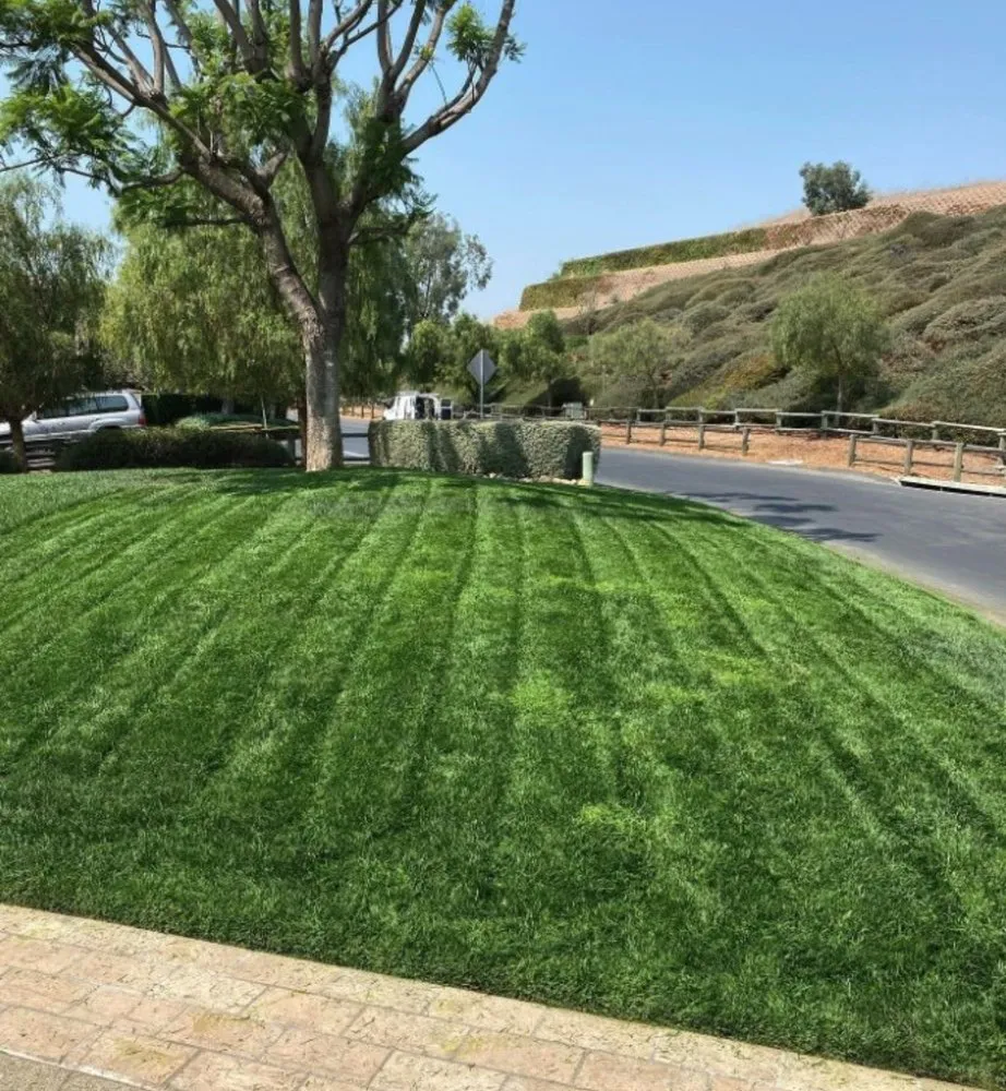 Expert landscaping services for year-round maintenance in Tracy, CA by Infinity Landscape