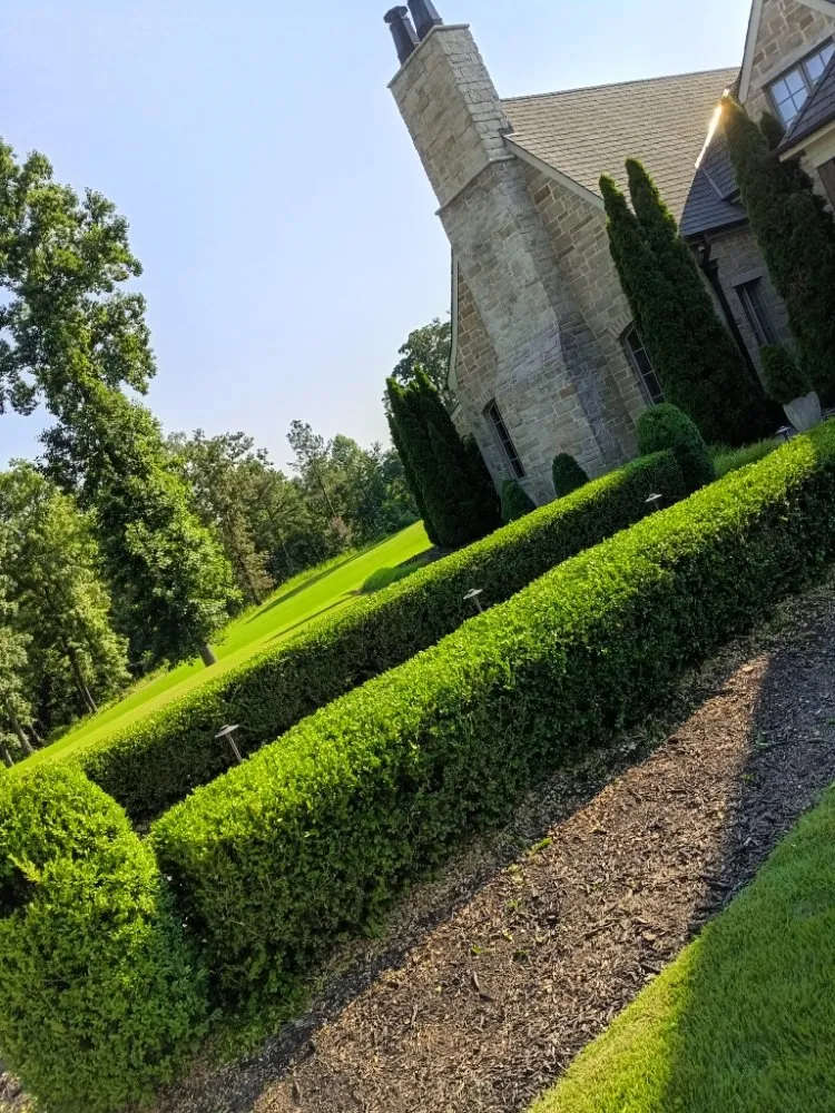 Trusted residential landscaping in Decatur, AL by Infinity Landscaping