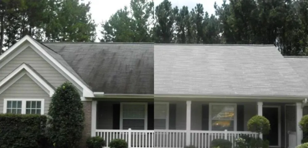 Professional landscape installation for year-round maintenance in Decatur, AL by Infinity Landscaping