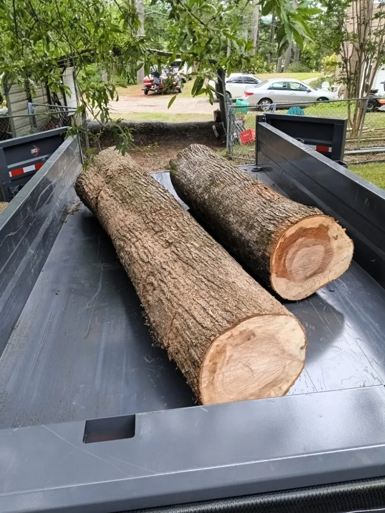 Expert yard cleanup service in Decatur, AL by Infinity Landscaping