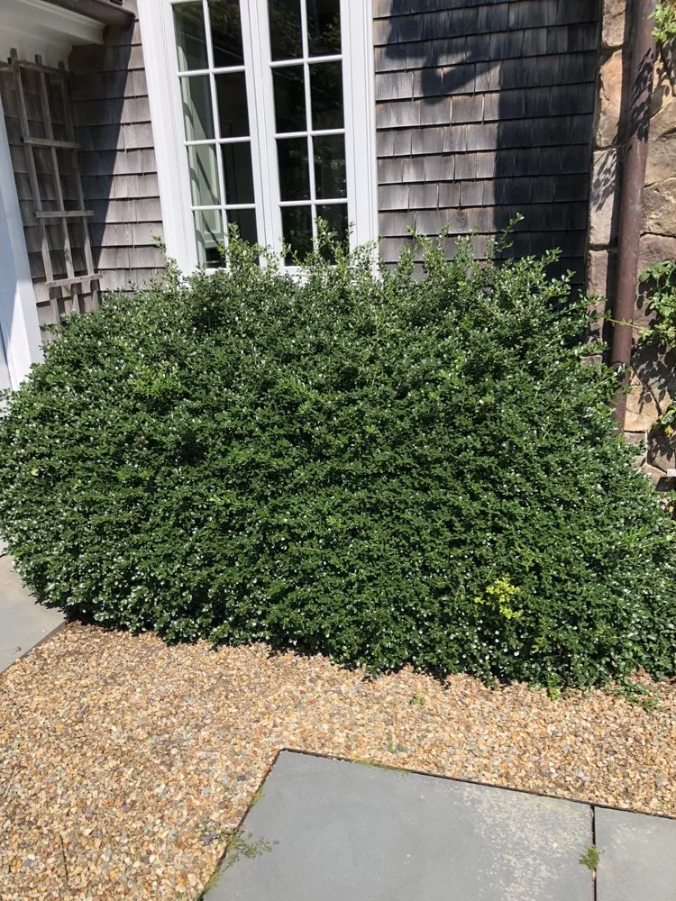 Top-rated landscape design near you across Oak Bluffs, MA - Infinity Landscaping