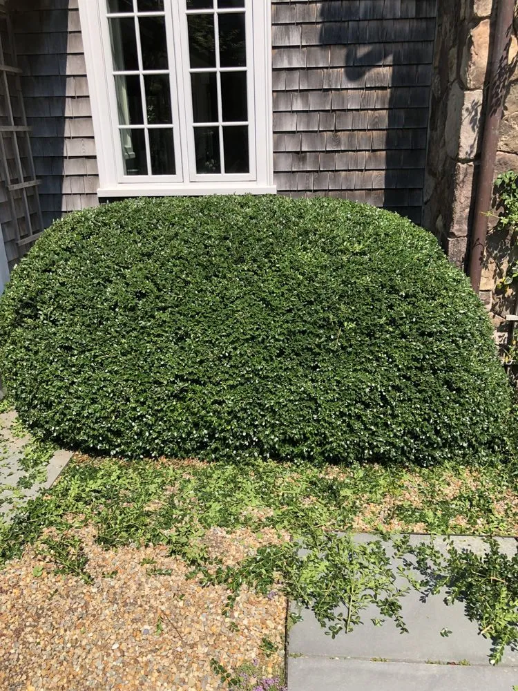 Affordable landscape design experts serving Oak Bluffs, MA - Infinity Landscaping