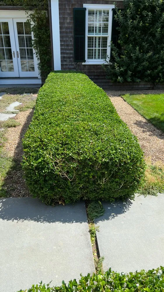 Affordable landscape installation in Oak Bluffs, MA by Infinity Landscaping