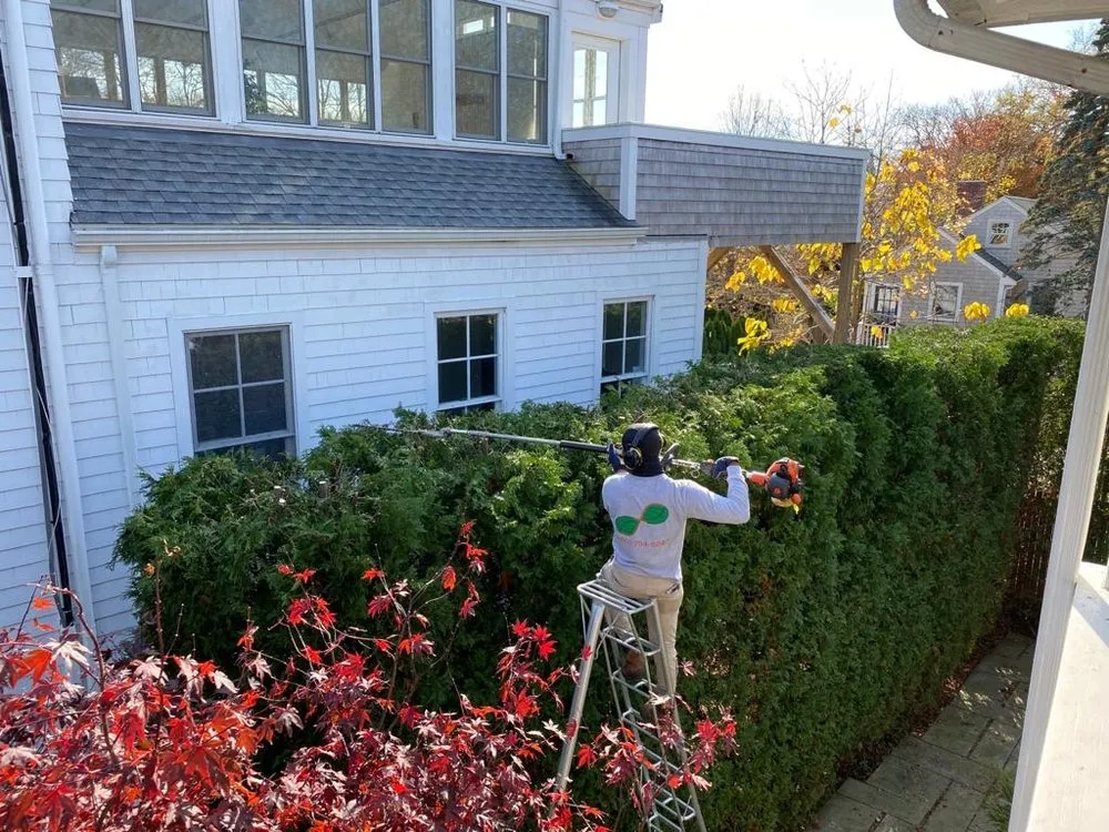 Top-rated residential landscaping in Oak Bluffs, MA by Infinity Landscaping