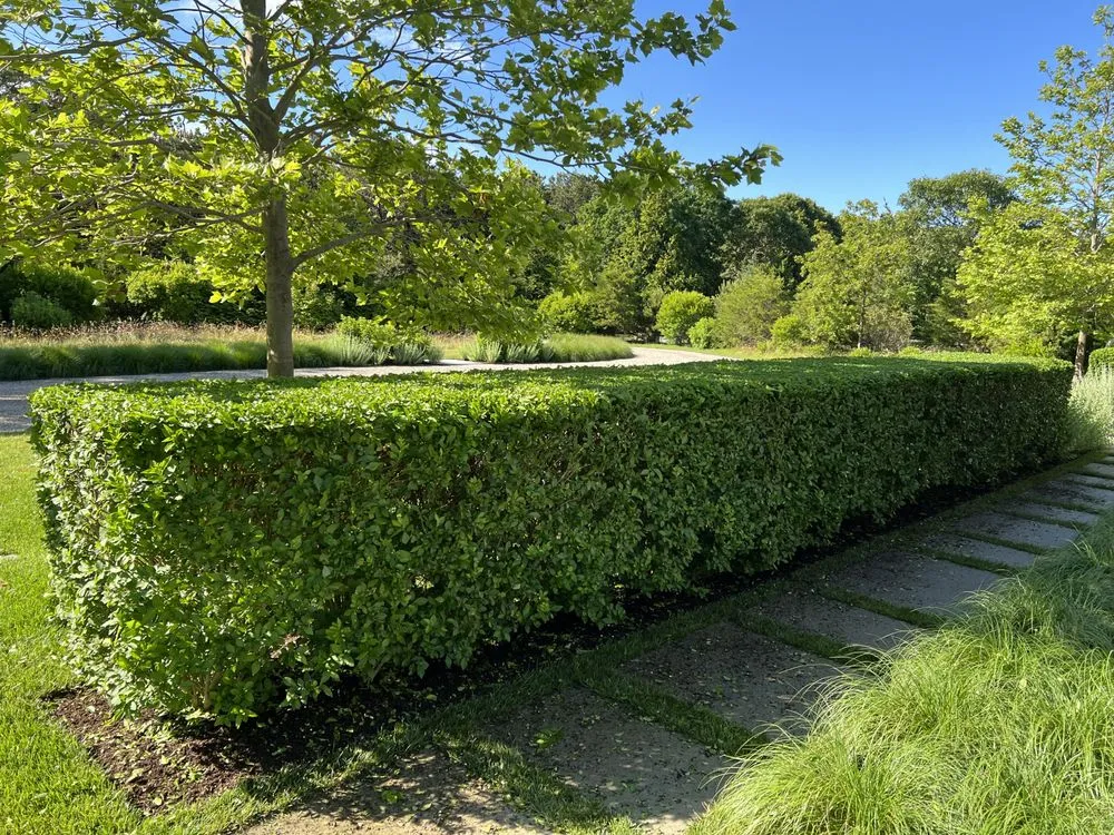 Affordable residential landscaping in Oak Bluffs, MA - Infinity Landscaping