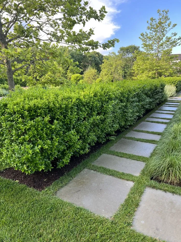 Trusted landscape design in Oak Bluffs, MA - Infinity Landscaping