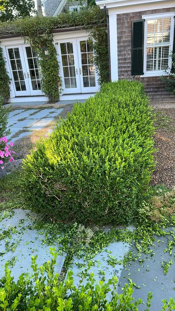 Reliable garden landscaping experts serving Oak Bluffs, MA - Infinity Landscaping