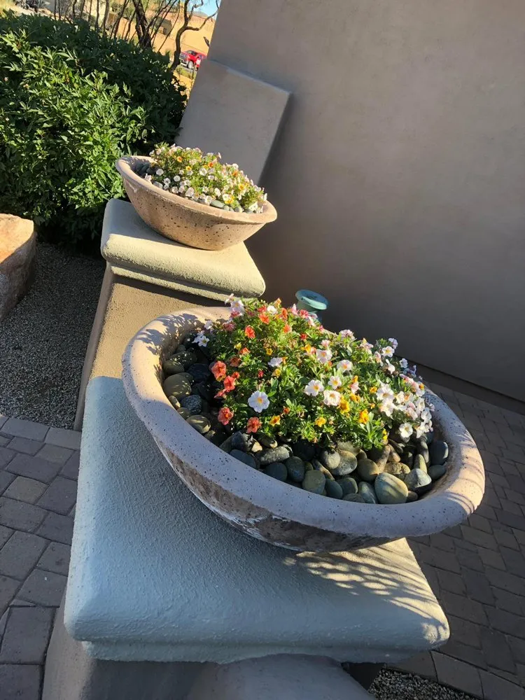 Professional landscaping services in Phoenix, AZ - Infinity Landscaping