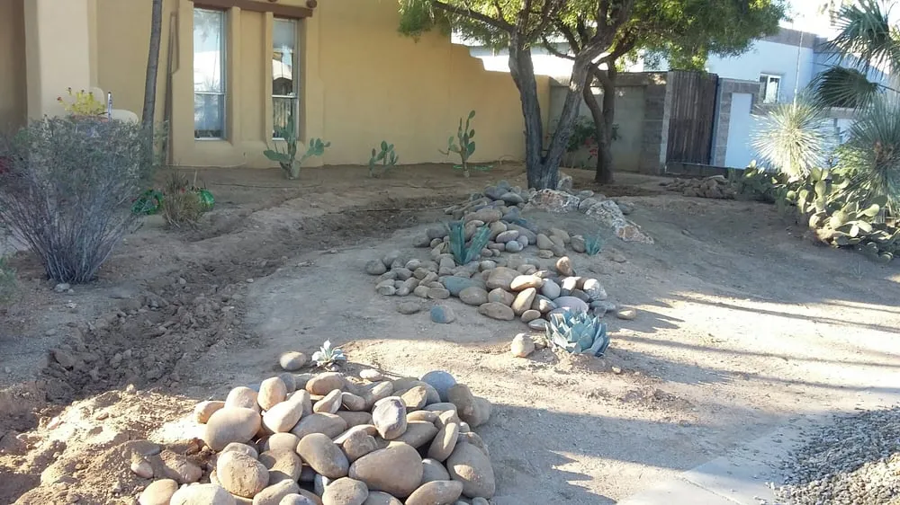 Professional landscape installation for beautiful yards across Phoenix, AZ - Infinity Landscaping