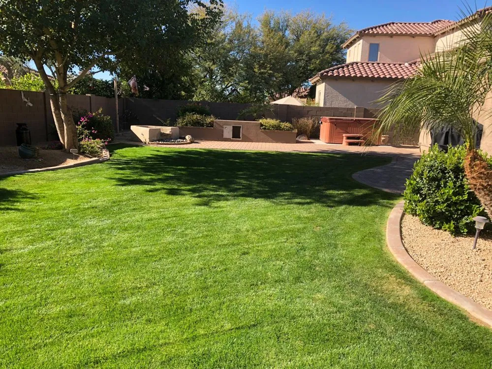 Expert lawn care service in Phoenix, AZ - Infinity Landscaping
