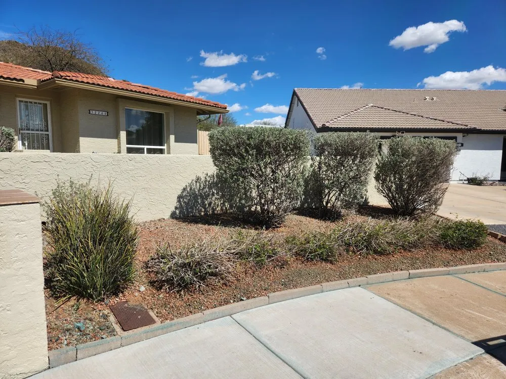 Local landscaping services in Phoenix, AZ by Infinity Landscaping