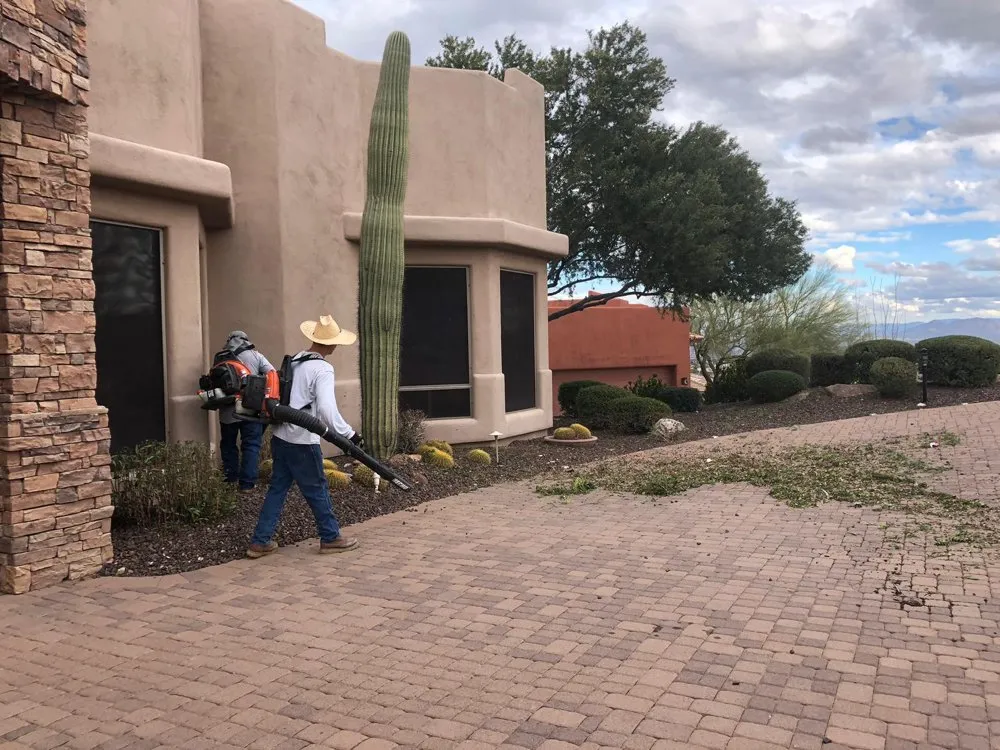 Expert residential landscaping for homes across Phoenix, AZ - Infinity Landscaping