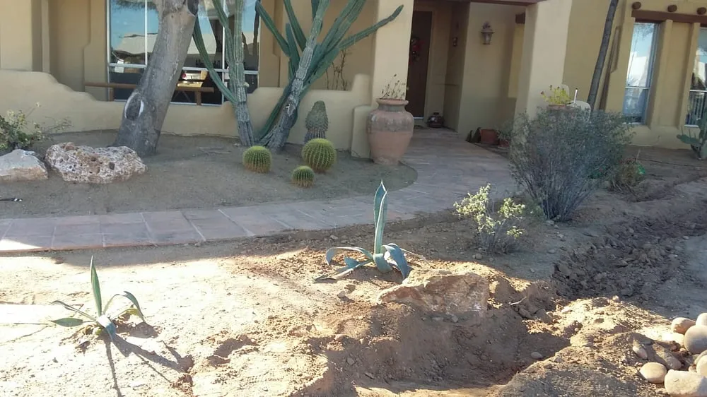 Affordable residential landscaping in Phoenix, AZ - Infinity Landscaping