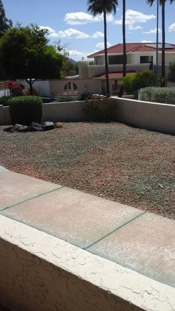 Local yard maintenance for year-round maintenance across Phoenix, AZ - Infinity Landscaping