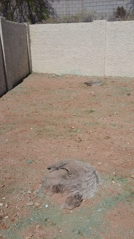 Professional residential landscaping near you in Phoenix, AZ by Infinity Landscaping