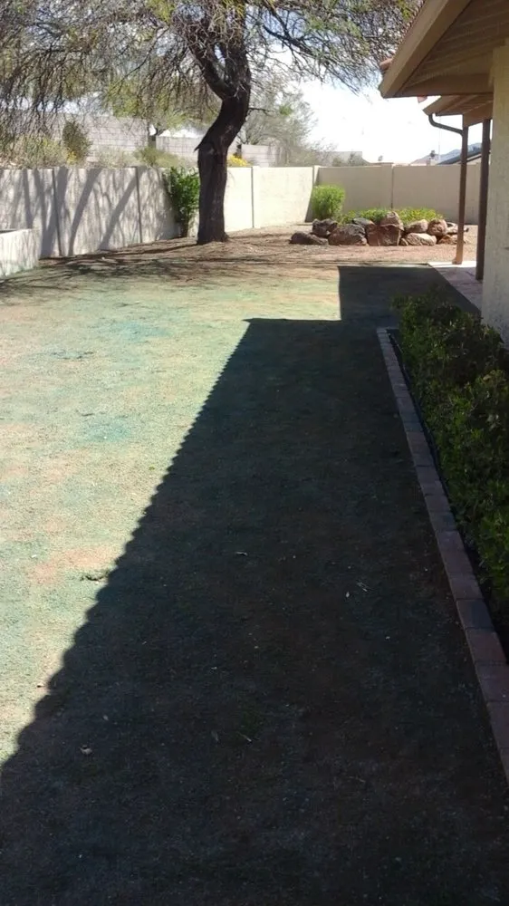 Affordable lawn mowing service for beautiful yards in Phoenix, AZ by Infinity Landscaping