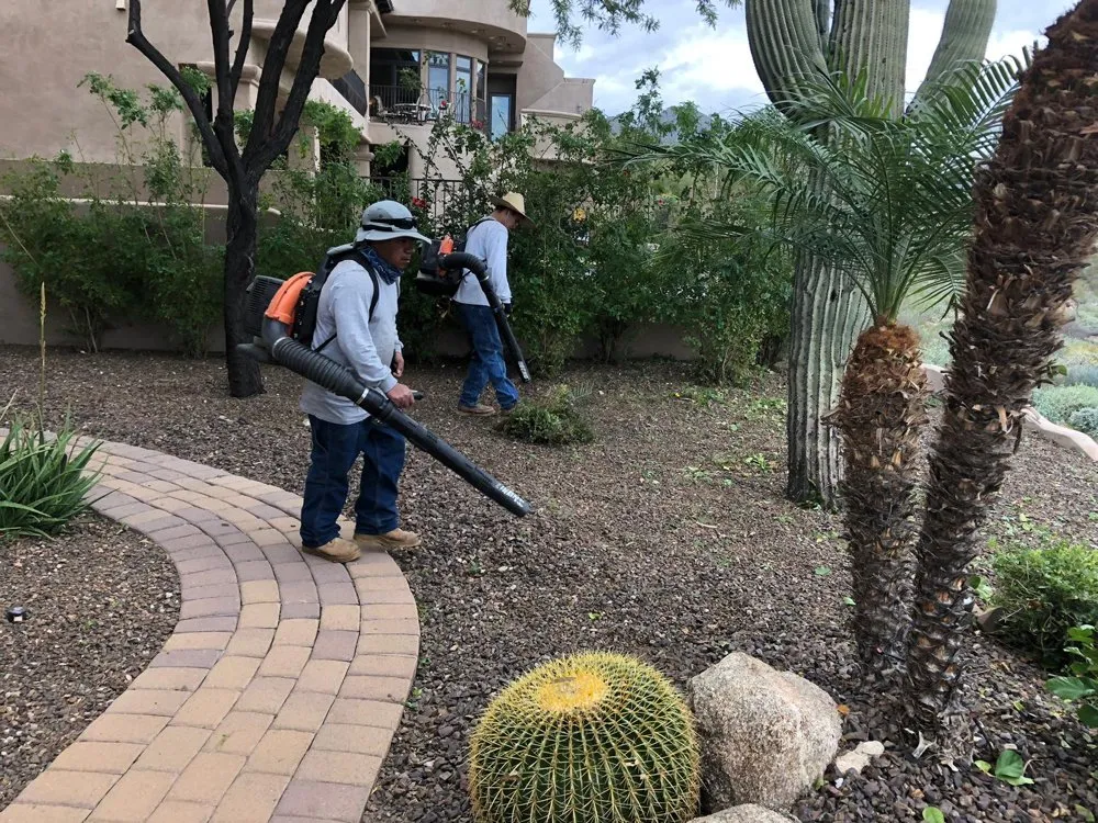 Top-rated lawn mowing service for residential properties across Phoenix, AZ - Infinity Landscaping