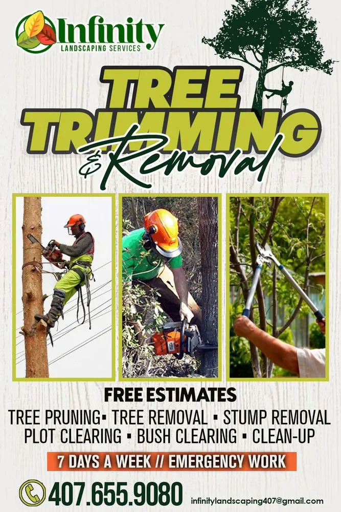 Trusted yard cleanup service experts serving Poinciana, FL - Infinity Landscaping Services