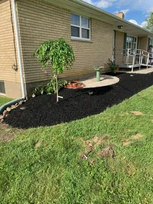 Infinity Landscaping Solutions Logo