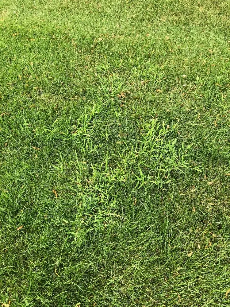 Local garden landscaping for residential properties in Frankfort, IL by Infinity Lawn & Landscaping