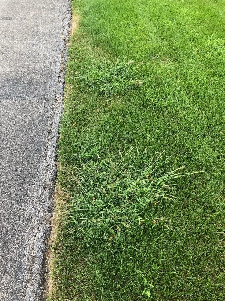 Custom landscape installation for residential properties in Frankfort, IL by Infinity Lawn & Landscaping