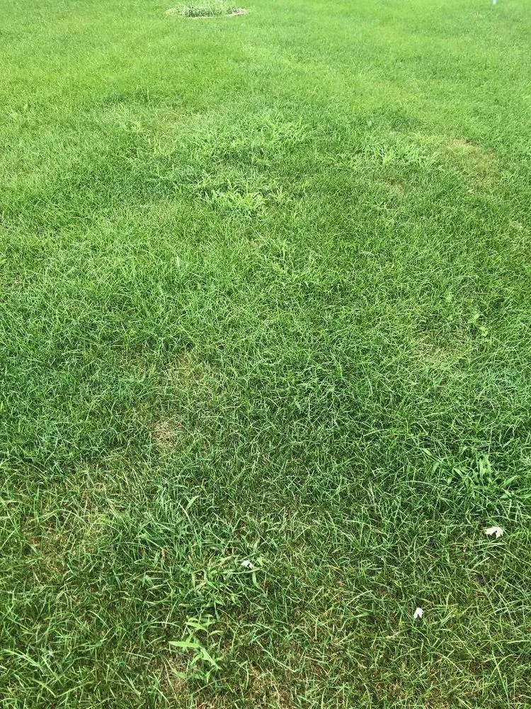 Local lawn mowing service in Frankfort, IL - Infinity Lawn & Landscaping