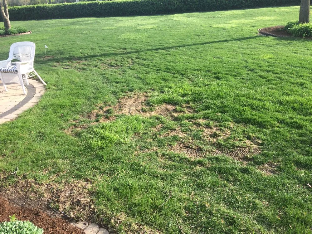 Affordable landscaping services in Frankfort, IL - Infinity Lawn & Landscaping