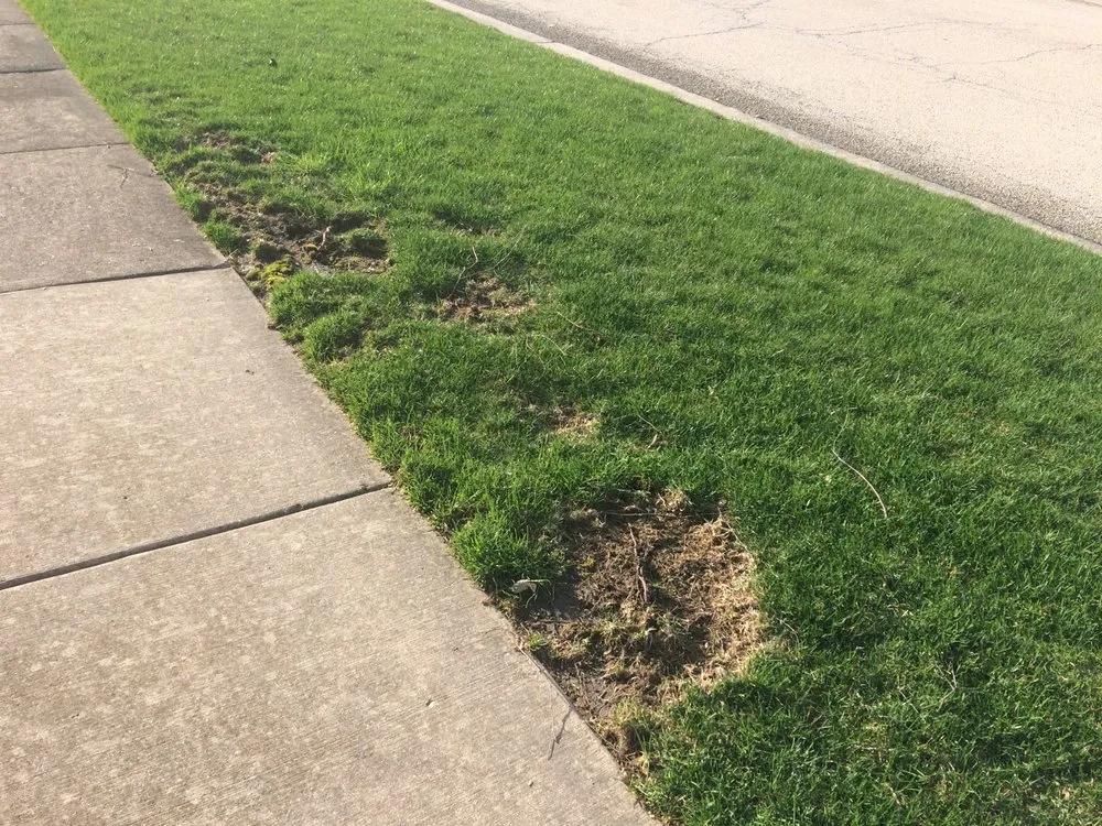 Reliable landscape design in Frankfort, IL - Infinity Lawn & Landscaping