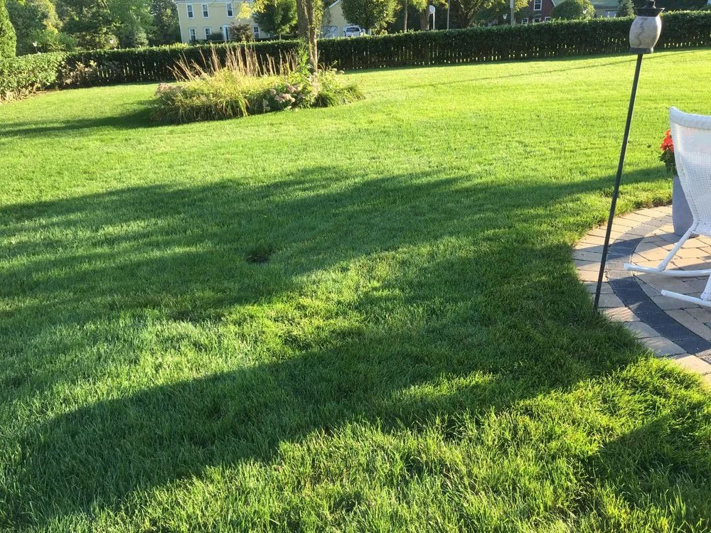 Reliable yard maintenance near you in Frankfort, IL by Infinity Lawn & Landscaping