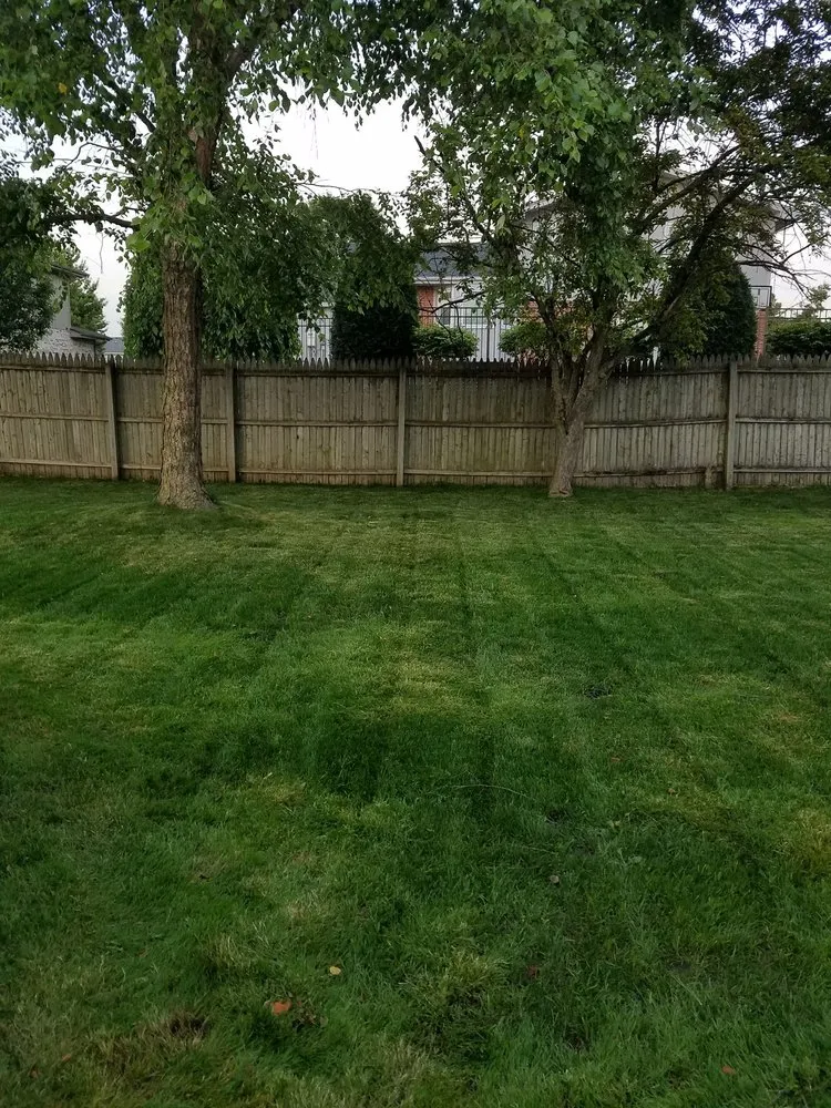 Trusted lawn mowing service with custom design across Frankfort, IL - Infinity Lawn & Landscaping