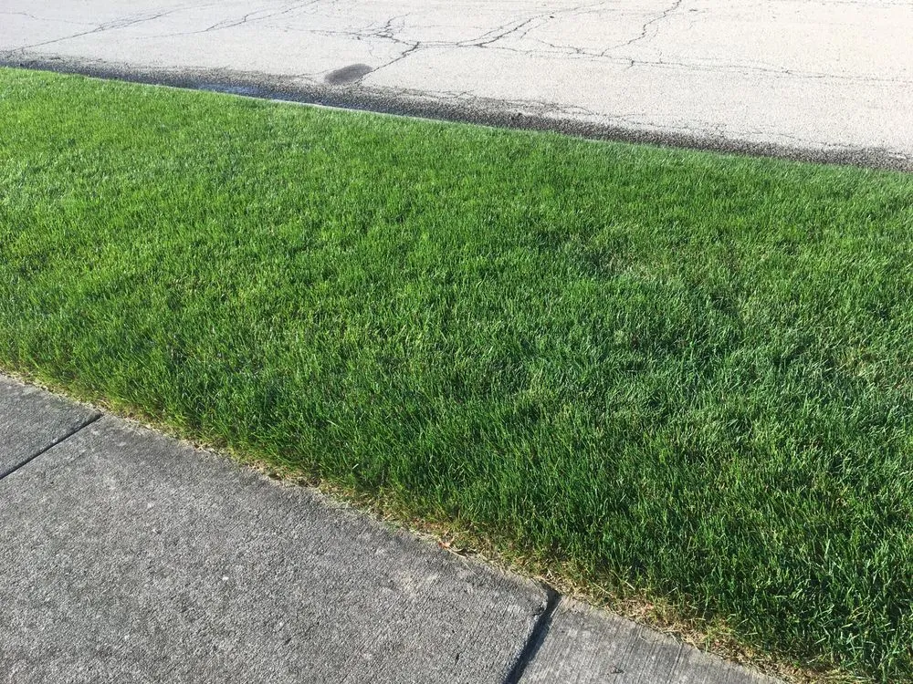 Custom outdoor landscaping in Frankfort, IL by Infinity Lawn & Landscaping